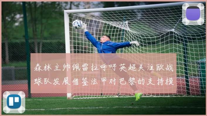 森林主帅佩雷拉呼吁英超关注欧战球队发展借鉴法甲对巴黎的支持模式